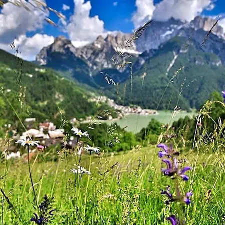 Astor 3* Alleghe