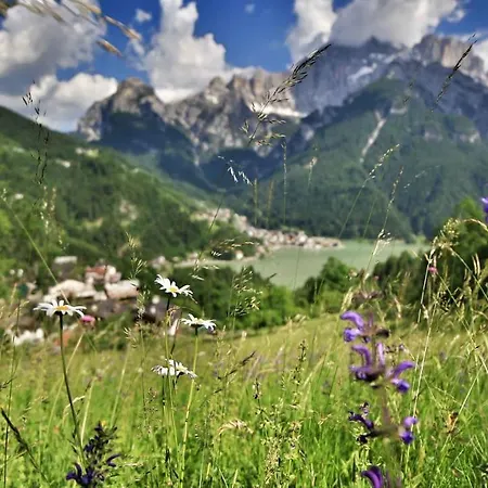 Bed and breakfast Astor 3*